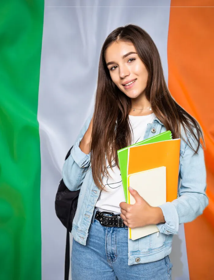 assignment writer ireland