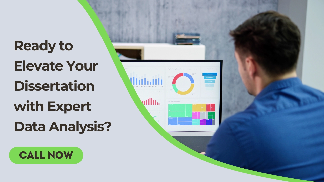 dissertation data analysis services