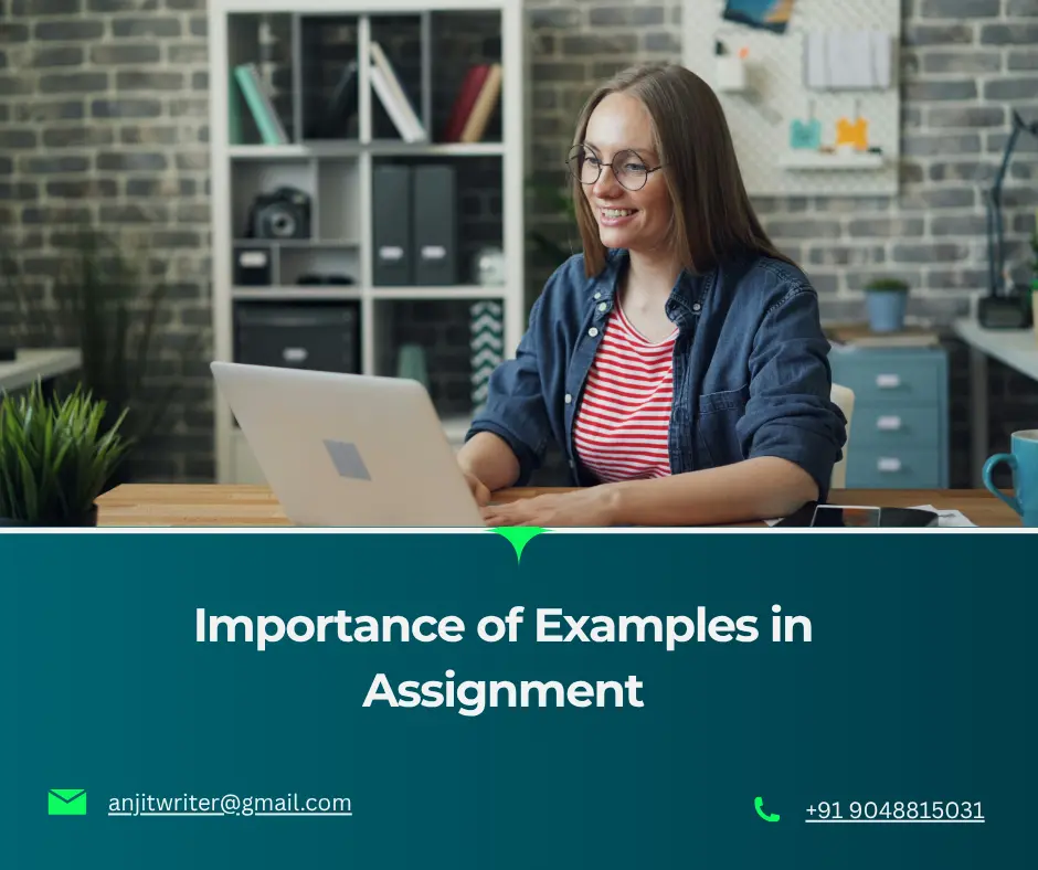 importance of examples in assignment
